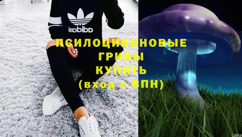 Галлюциногенные грибы MAGIC MUSHROOMS  Вичуга 